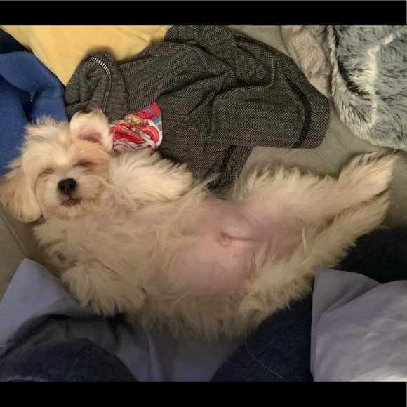 🙏❤️FINALLY a Healthy LITTLE boy! Thanks All!❤️🙏 - Picture 14 of 16